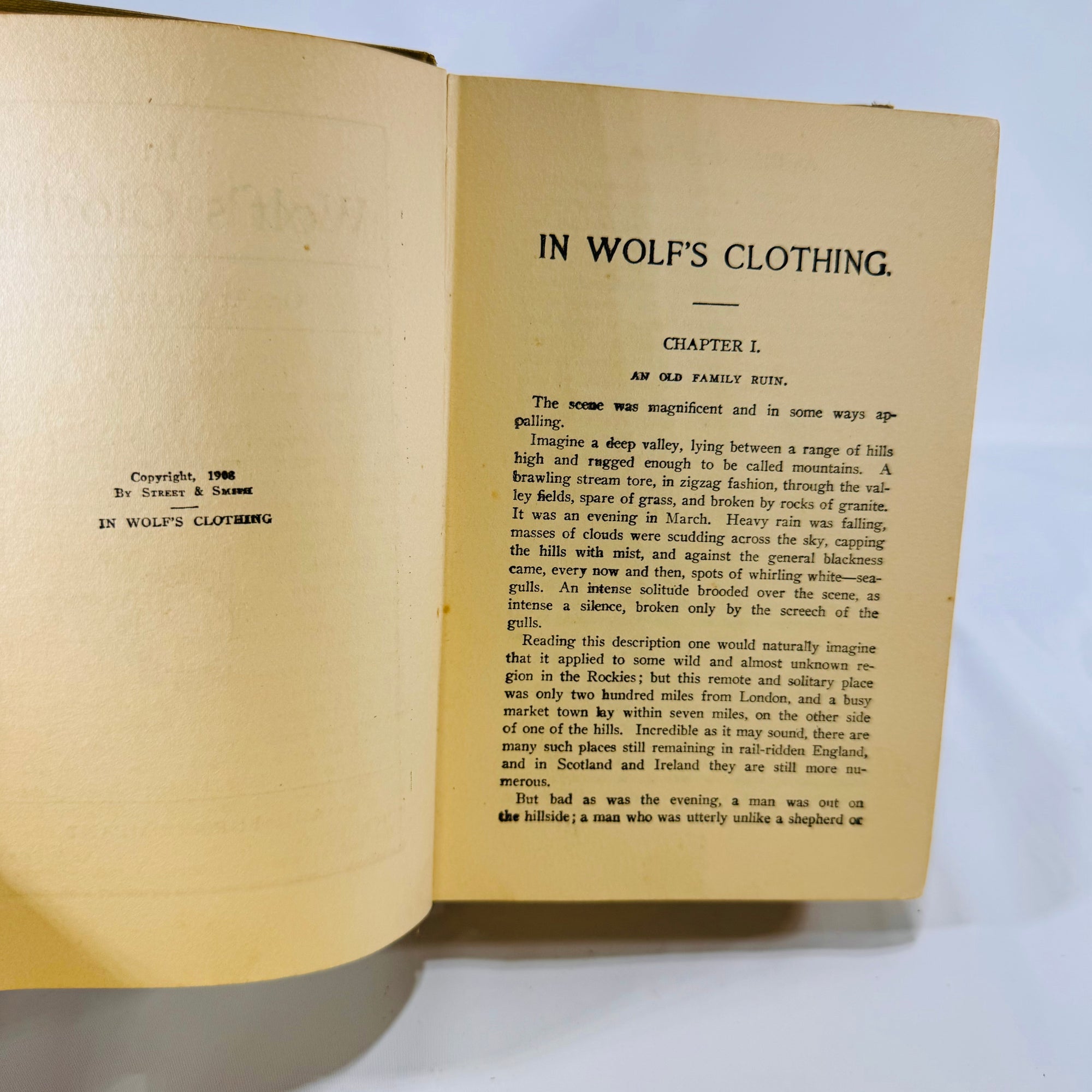 In Wolf's Clothing or At Great Sacrifice by Charles Garvice 1908 A.L. Burt Company