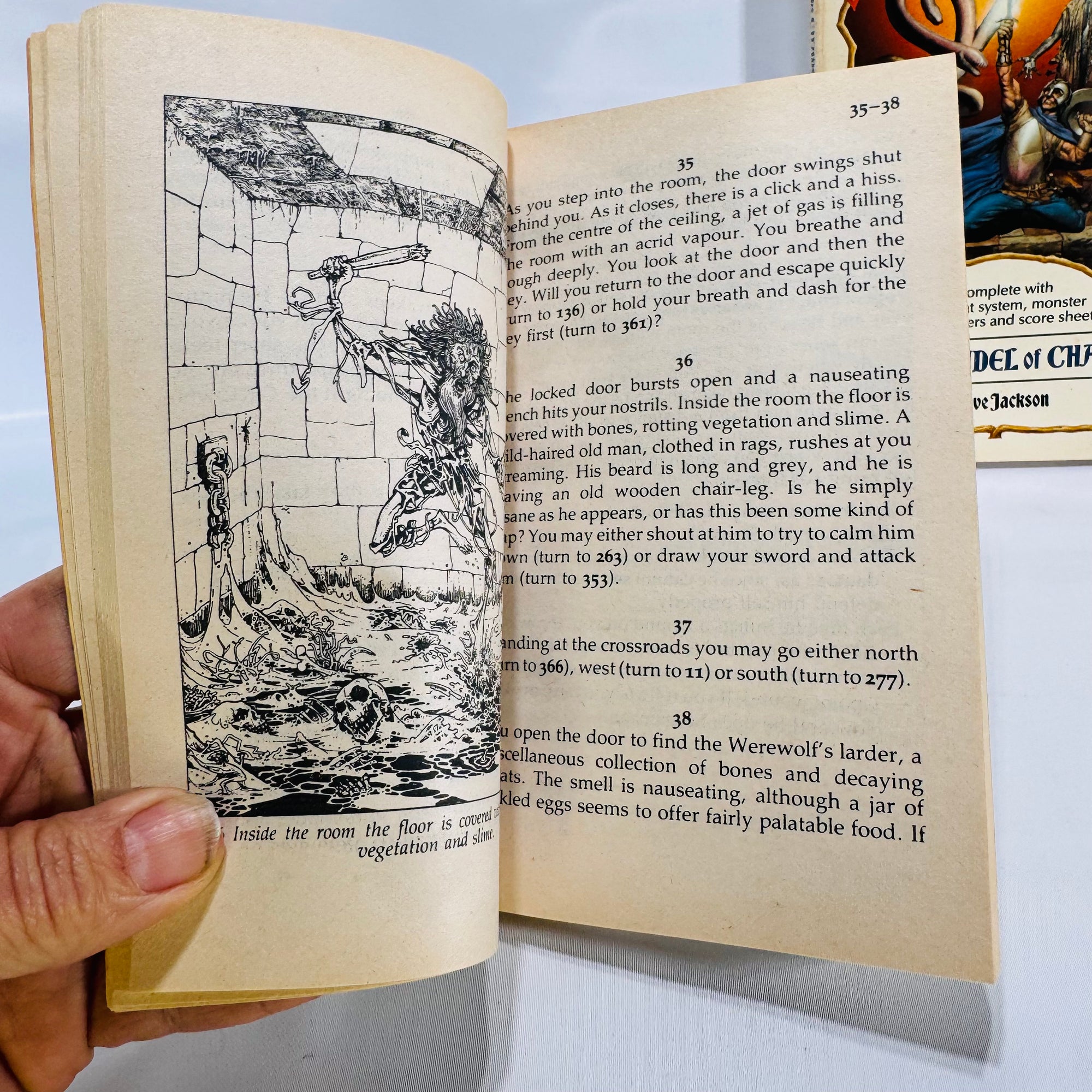Fighting Fantasy Gamebook Set: Warlock of Firetop Mountain & Citadel of Chaos (Vol. 1 & 2)