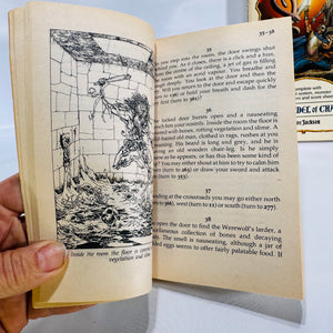 Fighting Fantasy Gamebook Set: Warlock of Firetop Mountain & Citadel of Chaos (Vol. 1 & 2)