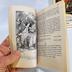 Fighting Fantasy Gamebook Set: Warlock of Firetop Mountain & Citadel of Chaos (Vol. 1 & 2)