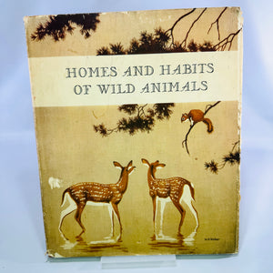Homes and Habits of Wild Animals by Karl Patterson Schmidt 1934 Hardcover with Dust Jacket Walter Alois Weber Illustrations