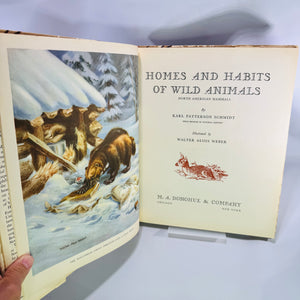 Homes and Habits of Wild Animals by Karl Patterson Schmidt 1934 Hardcover with Dust Jacket Walter Alois Weber Illustrations