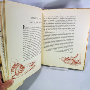 Homes and Habits of Wild Animals by Karl Patterson Schmidt 1934 Hardcover with Dust Jacket Walter Alois Weber Illustrations