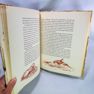 Homes and Habits of Wild Animals by Karl Patterson Schmidt 1934 Hardcover with Dust Jacket Walter Alois Weber Illustrations