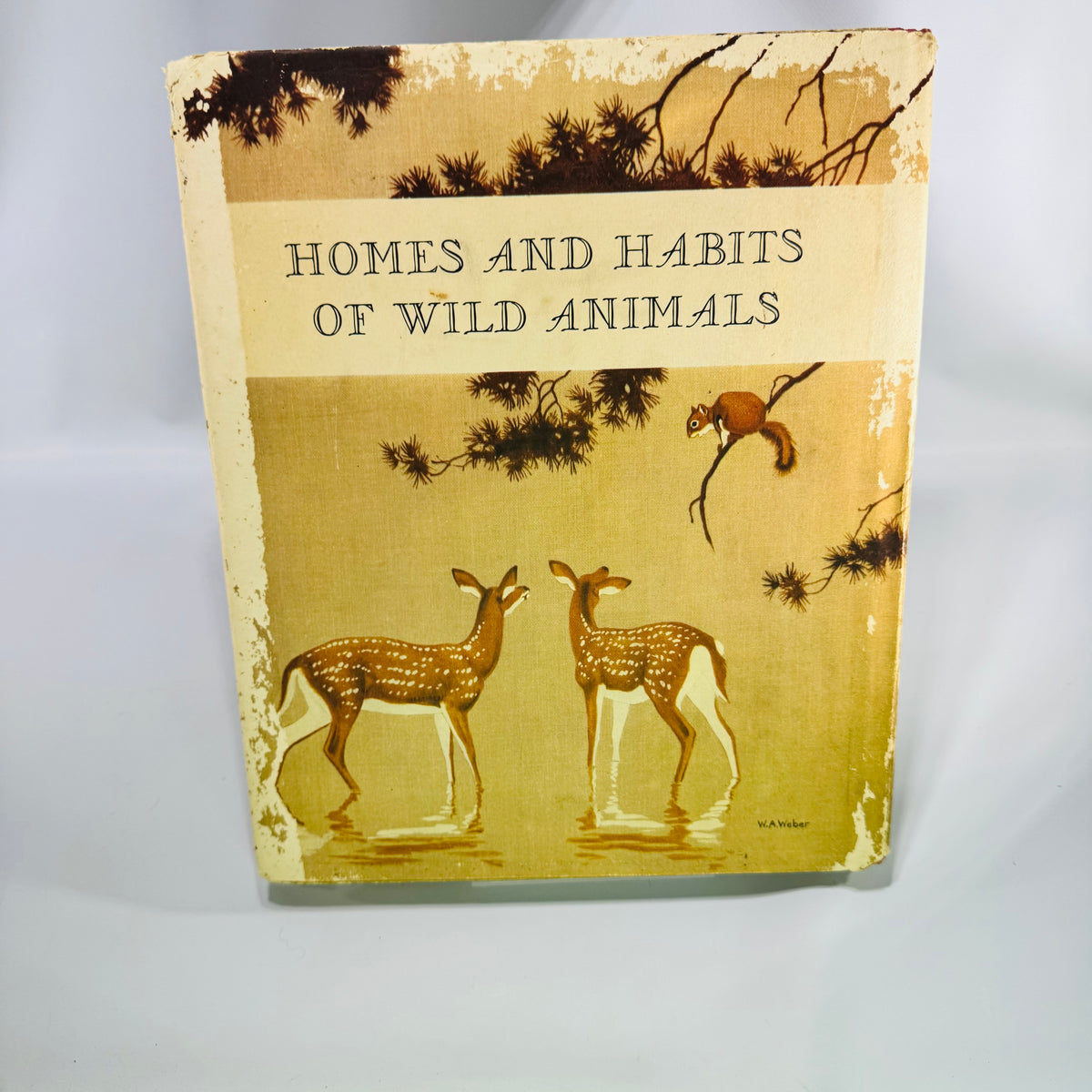 Homes and Habits of Wild Animals by Karl Patterson Schmidt 1934 Hardcover with Dust Jacket Walter Alois Weber Illustrations