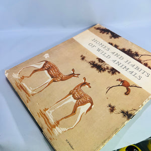 Homes and Habits of Wild Animals by Karl Patterson Schmidt 1934 Hardcover with Dust Jacket Walter Alois Weber Illustrations