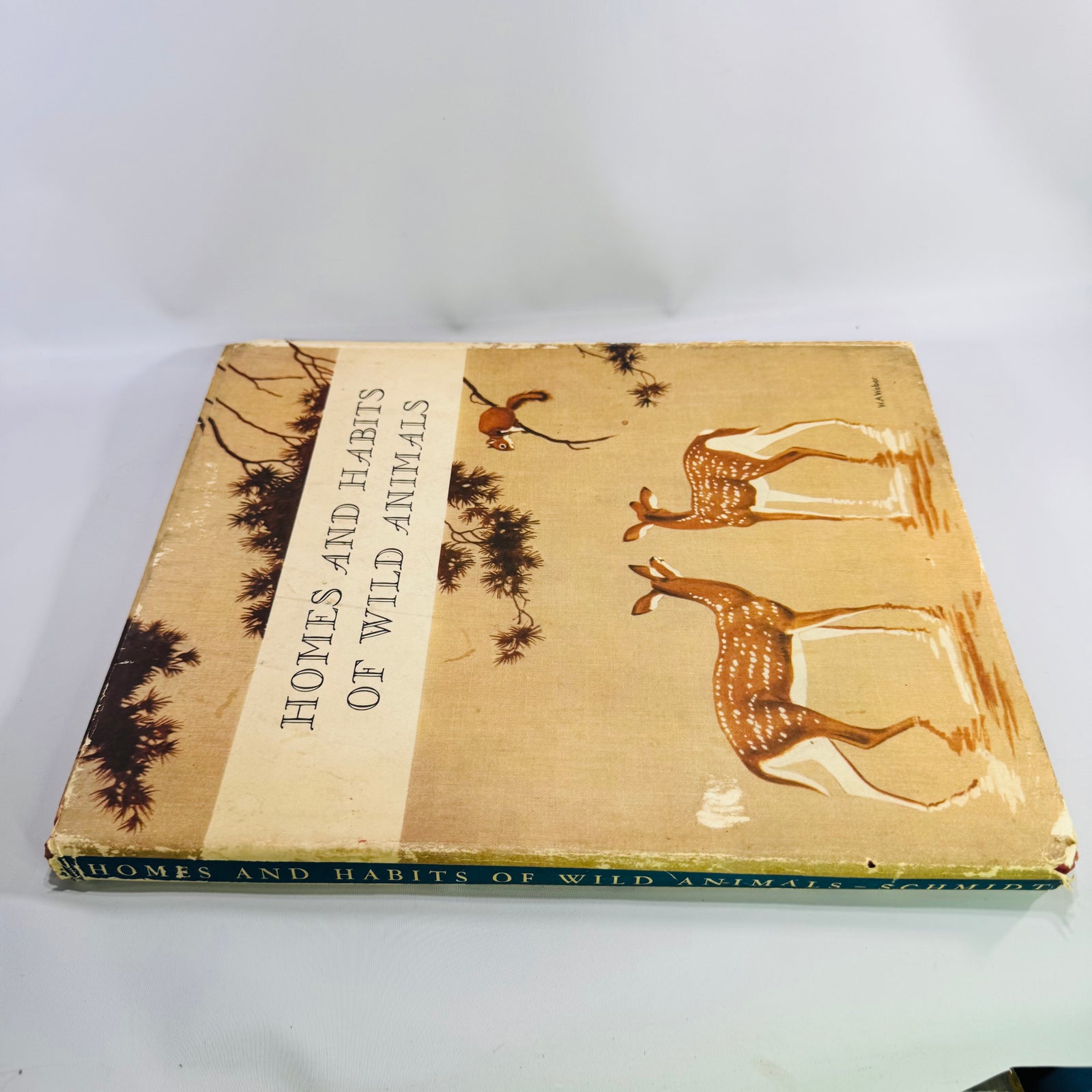 Homes and Habits of Wild Animals by Karl Patterson Schmidt 1934 Hardcover with Dust Jacket Walter Alois Weber Illustrations