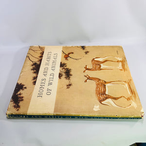 Homes and Habits of Wild Animals by Karl Patterson Schmidt 1934 Hardcover with Dust Jacket Walter Alois Weber Illustrations