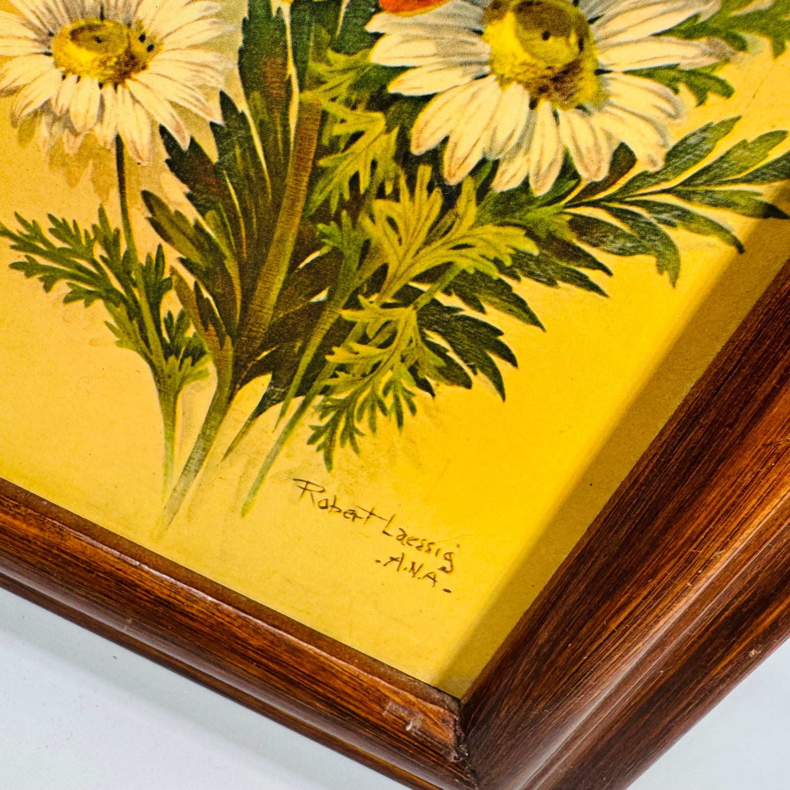 Vintage Framed Floral Print  by ROBERT LAESSIG ANA— Poppies & Daisies (18x9)