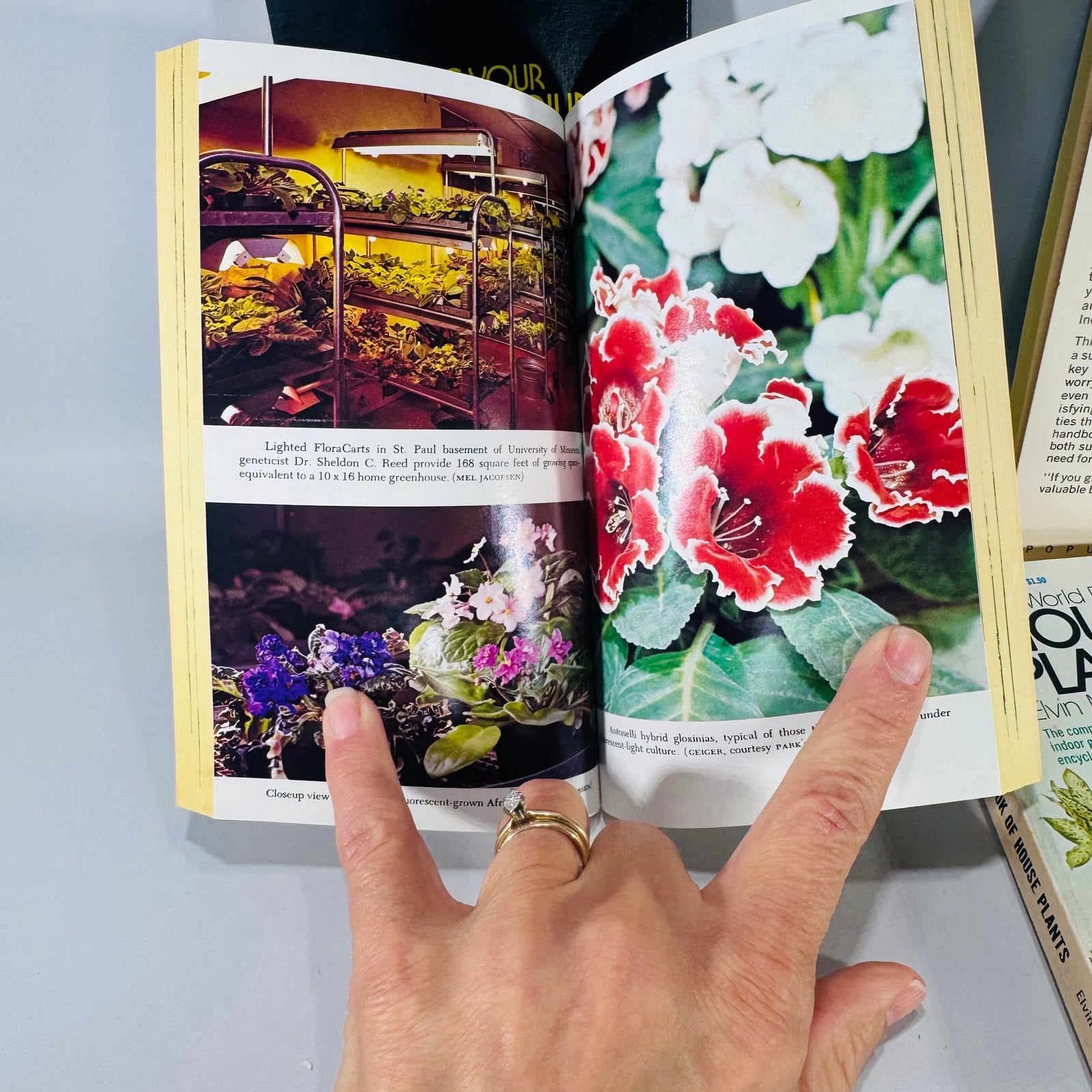 Vintage Indoor Gardening Boxed Set (4 Books) — Popular Library Gardening Series (1970s) — Elvin McDonald + Barbara Joan Grubman + H. Peter Loewer | Terrariums, Grow Lights, Hydroponics, Indoor Gardening