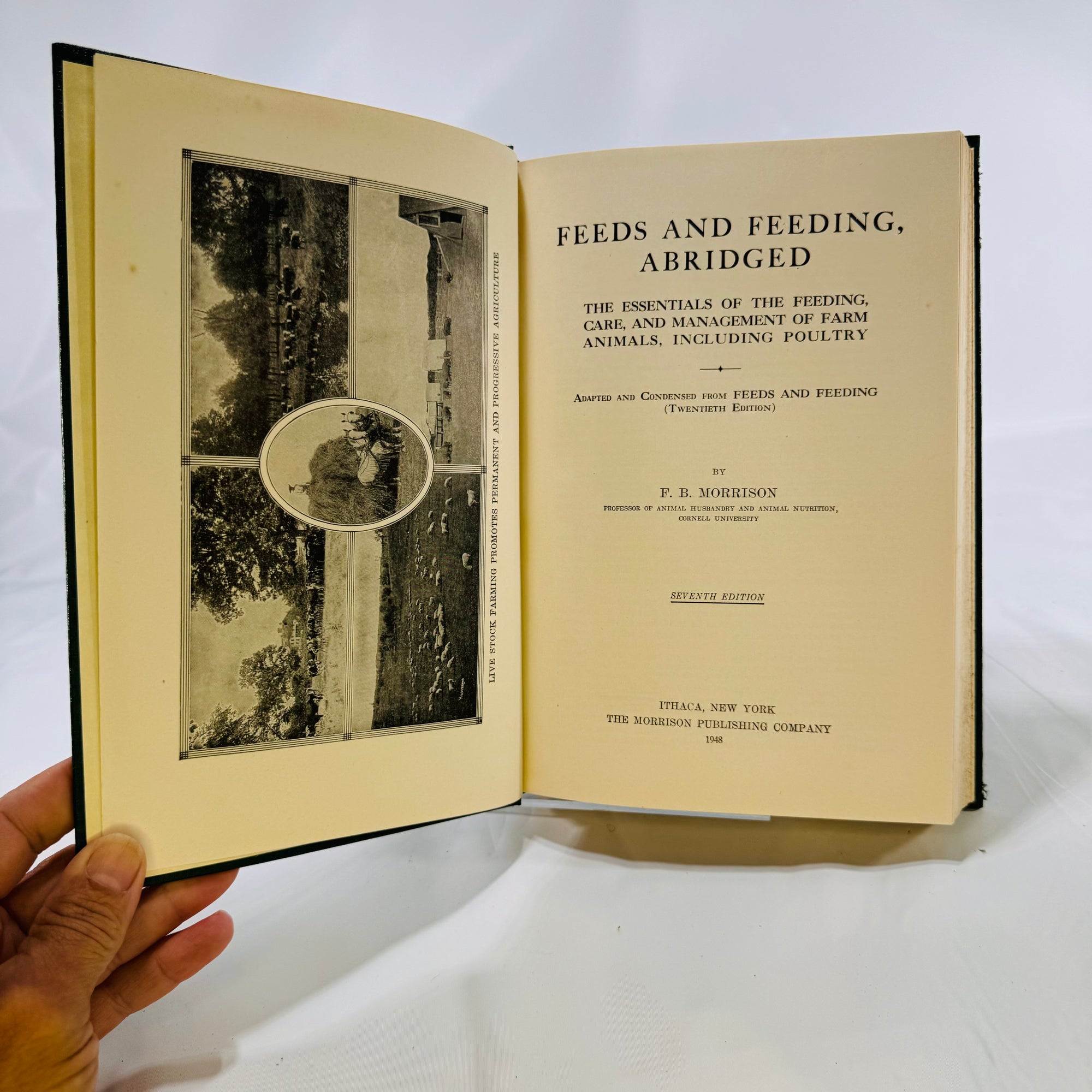 Feeds and Feeding Abridged by F.B. Morrison 1948 The Morrison Publishing Company