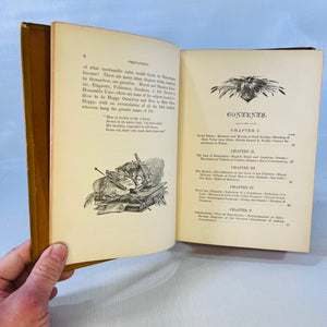 Gems of Deportment and Hints of Etiquette a Manual of Instructions for the Home by Mrs. M.L. Rayne 1860 Tyler & Co.Antique Gold Gilt Pages Book