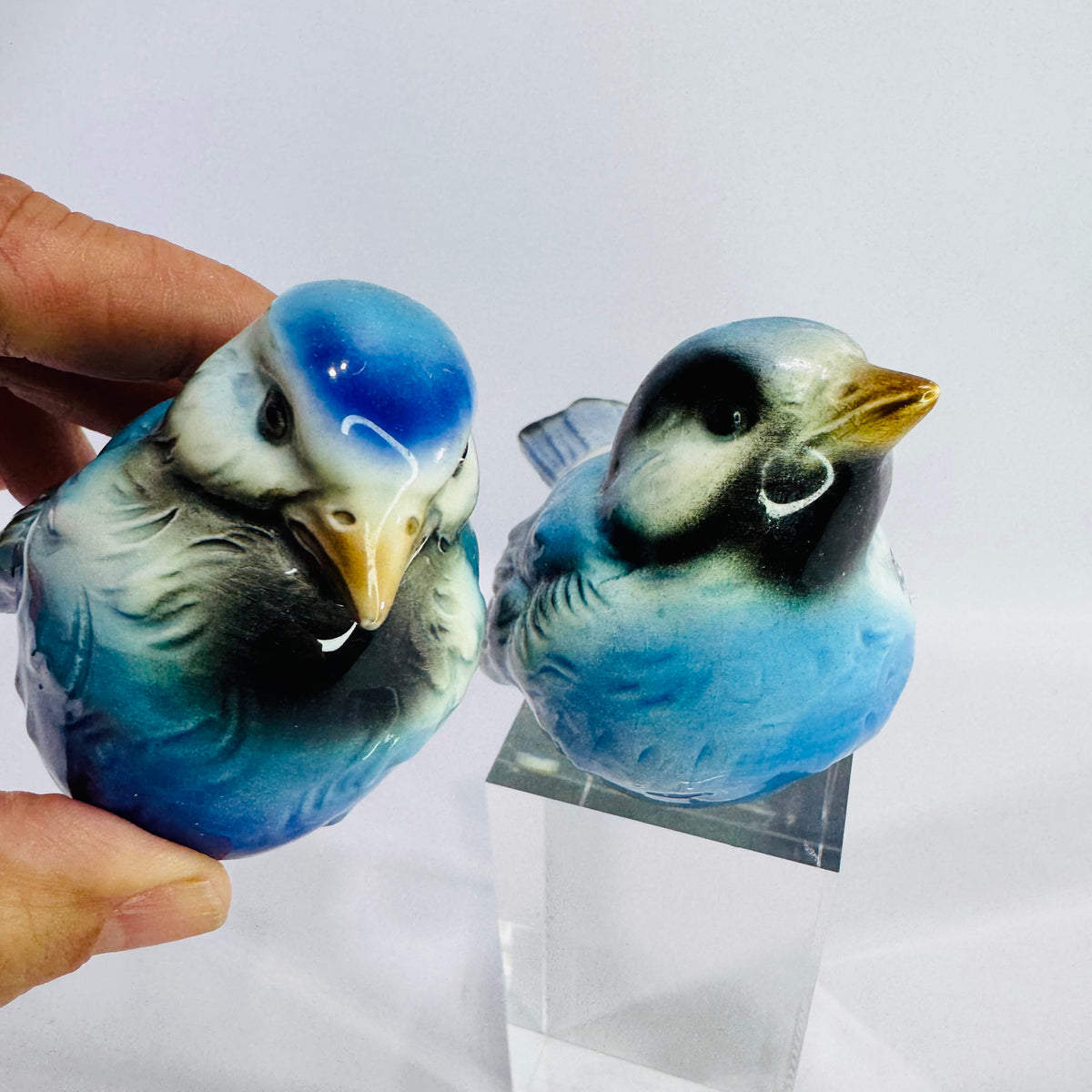 Vintage Goebel West Germany Blue Bird Figurine Bundle of 2 Porcelain Bluebirds Different Poses Mid Century Bird Decor