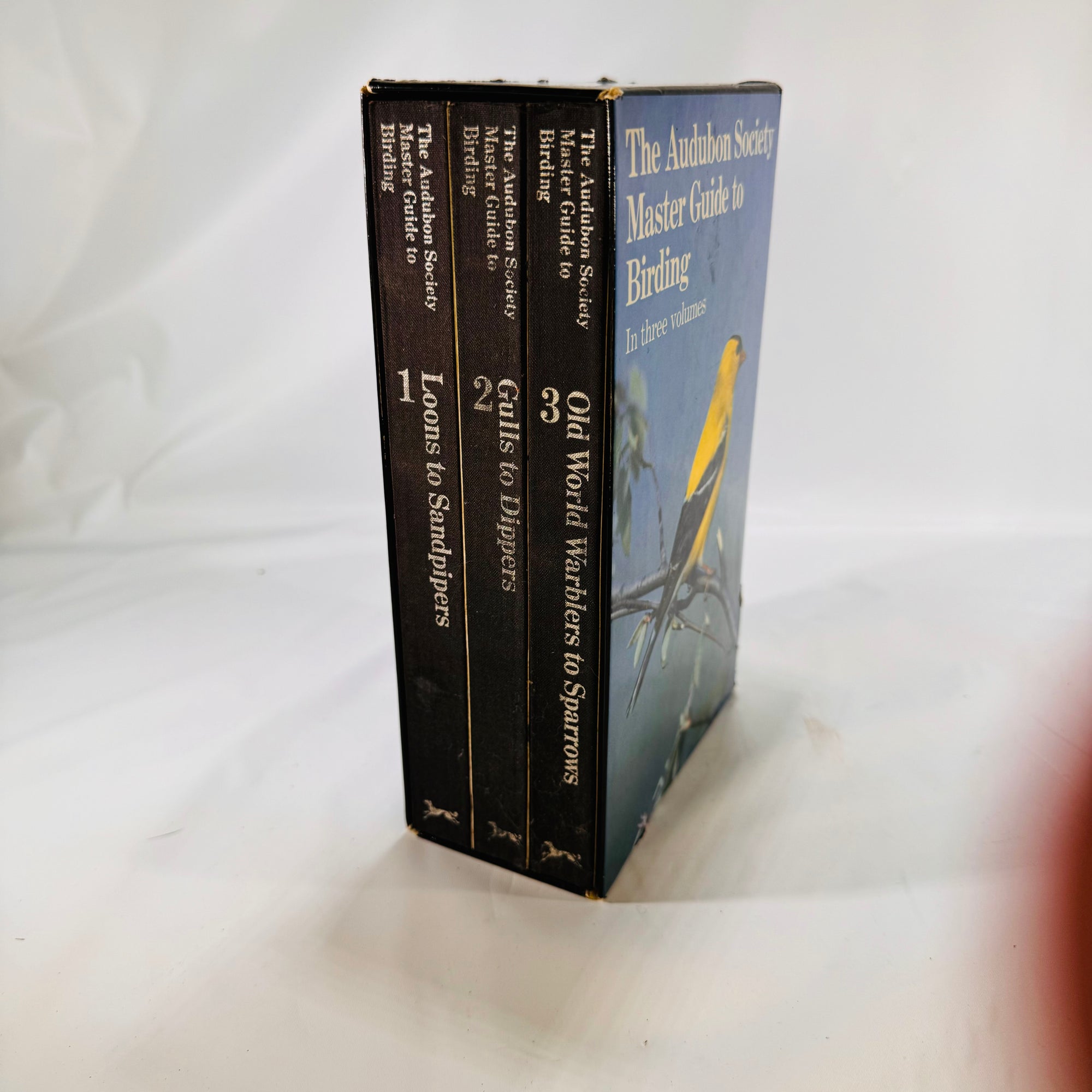 The Audubon Society Master Guide to Birding John Farrand 1985 Box Set Three Volumes Loons to Sandpipers Gulls to Dippers Old-World Warblers-Sparrows