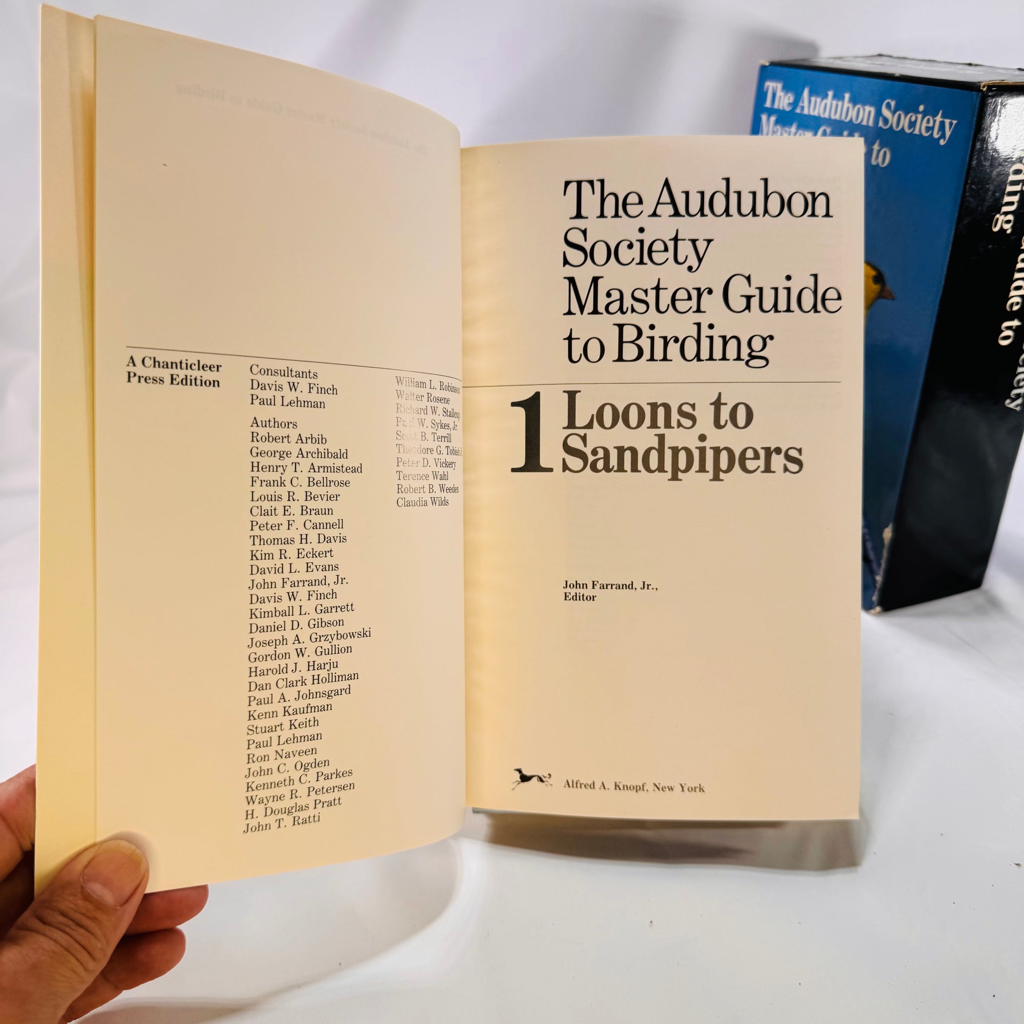 The Audubon Society Master Guide to Birding John Farrand 1985 Box Set Three Volumes Loons to Sandpipers Gulls to Dippers Old-World Warblers-Sparrows