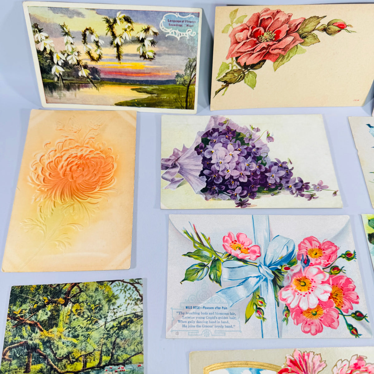 Vintage Floral Postcard Bundle of 10 Embossed Flower & Scenic Greeting Cards with Antique Postmarks