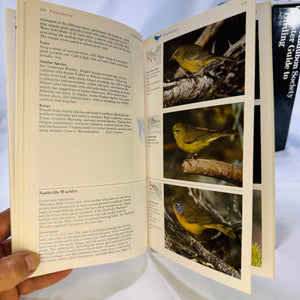 The Audubon Society Master Guide to Birding John Farrand 1985 Box Set Three Volumes Loons to Sandpipers Gulls to Dippers Old-World Warblers-Sparrows