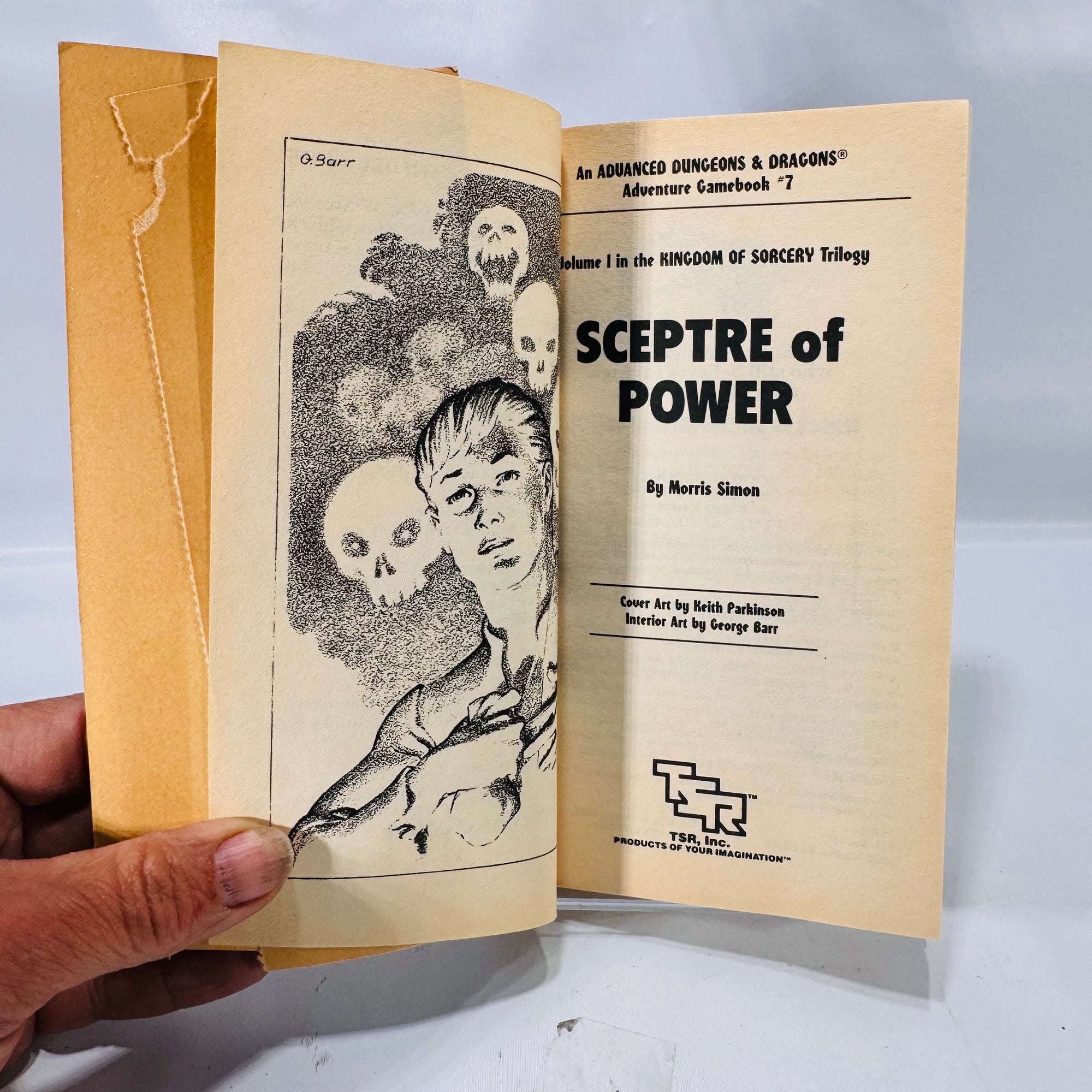 Advanced Dungeons & Dragons “Sceptre of Power” (1986) Paperback Gamebook