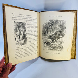 The Daughter of the Chieftain Edward S. Ellis Antique Hardcover McLoughlin Brothers Illustrated circa 1908 to 1910