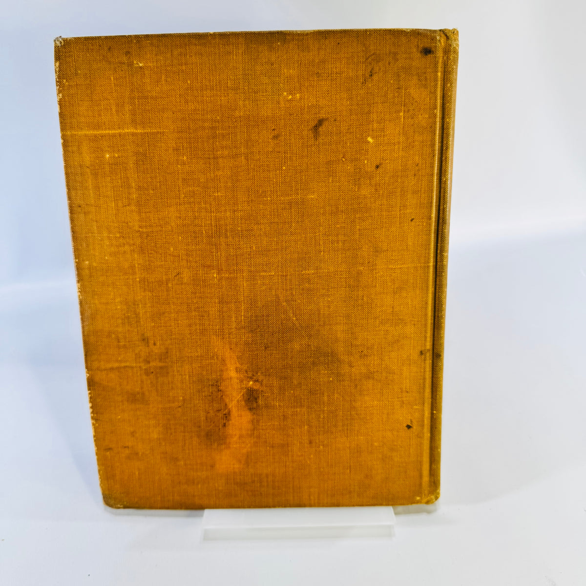 The Daughter of the Chieftain Edward S. Ellis Antique Hardcover McLoughlin Brothers Illustrated circa 1908 to 1910