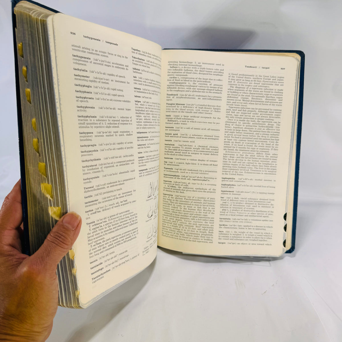 Encyclopedia and Dictionary of Medicine and Nursing by Bejamin F Miller M.D. 1972 W.B. Saunders Company