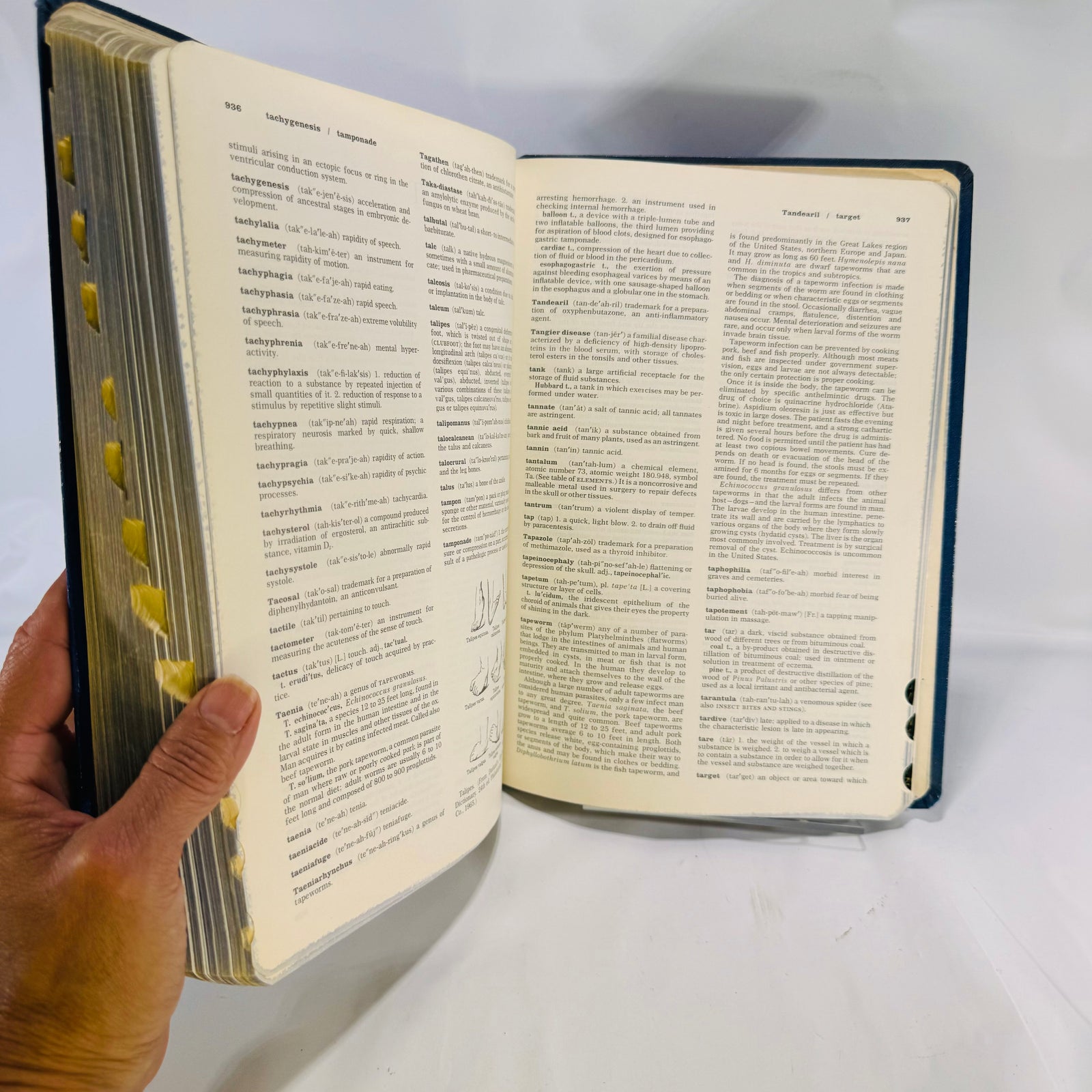Encyclopedia and Dictionary of Medicine and Nursing by Bejamin F Miller M.D. 1972 W.B. Saunders Company