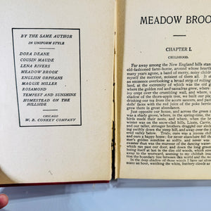 Vintage Meadow Brook by Mary Jane Holmes Decorative Red Hardcover W. B. Conkey 295 Pages Antique Novel