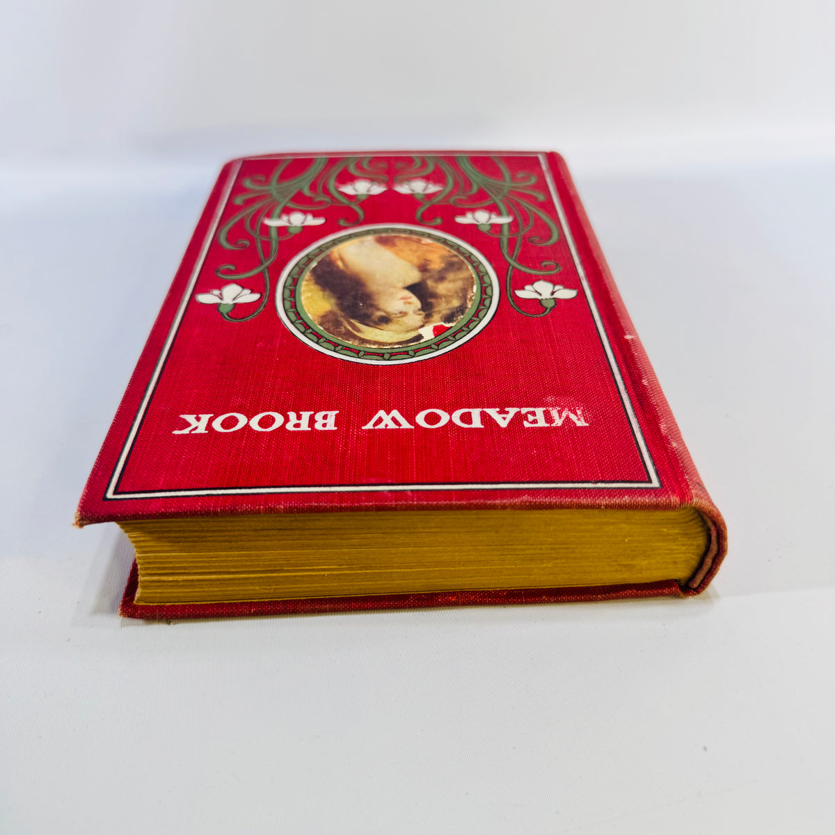 Vintage Meadow Brook by Mary Jane Holmes Decorative Red Hardcover W. B. Conkey 295 Pages Antique Novel