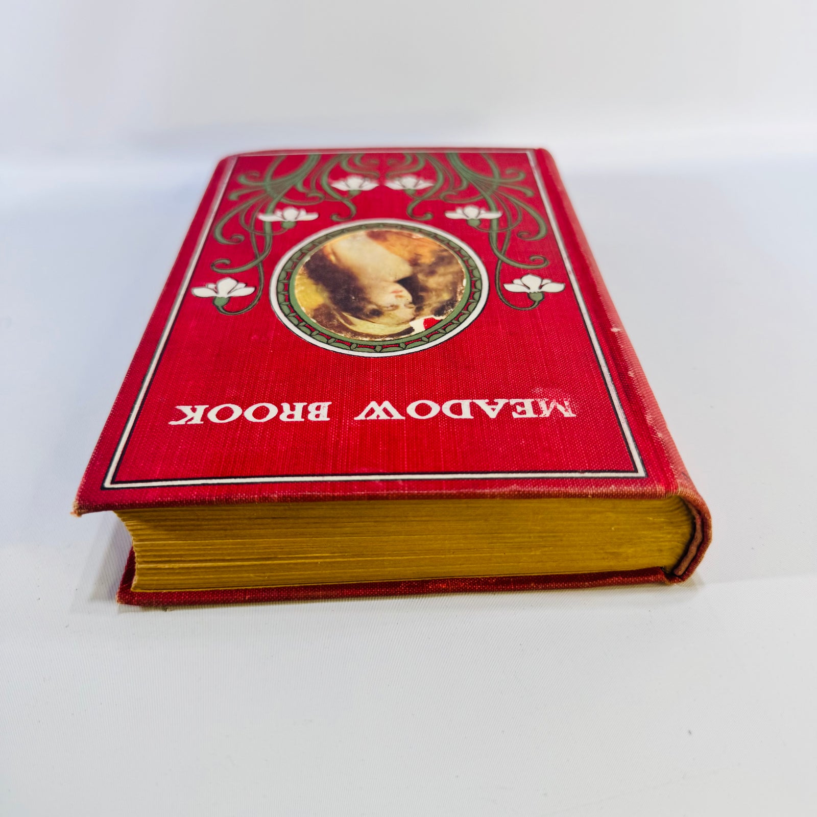 Vintage Meadow Brook by Mary Jane Holmes Decorative Red Hardcover W. B. Conkey 295 Pages Antique Novel