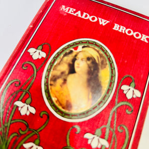 Vintage Meadow Brook by Mary Jane Holmes Decorative Red Hardcover W. B. Conkey 295 Pages Antique Novel