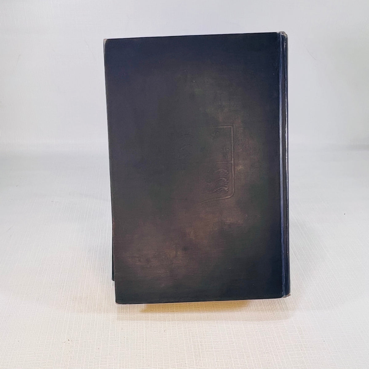 The Helmet of Navarre by Bertha Runkle illustrations by Andre Casaigne 1901 The Century Co.