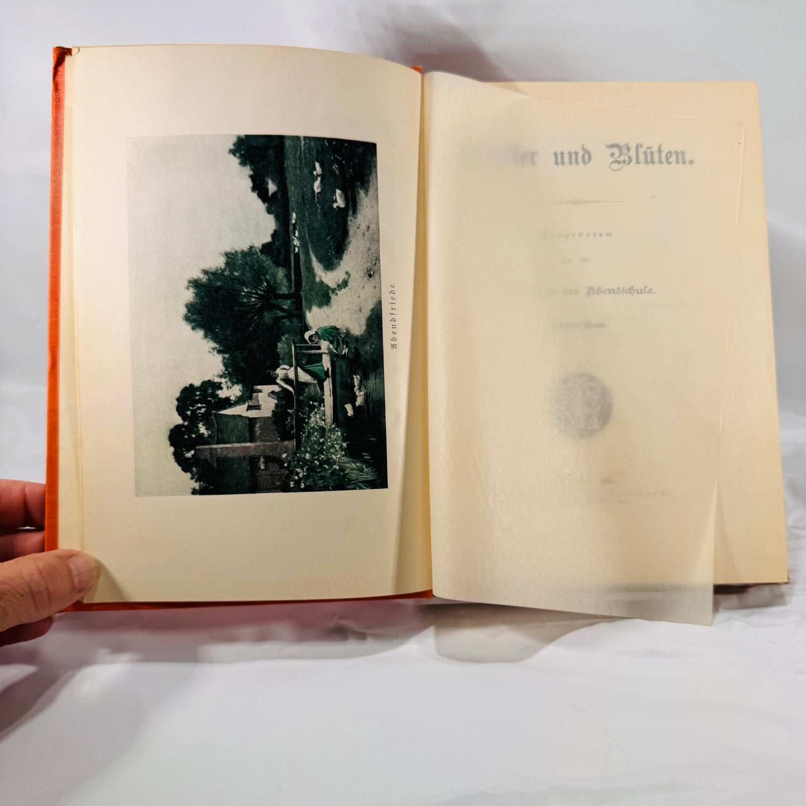 Blätter und Blüten German Book 1906 Louis Lange Publishing Co. Ornate Cover, Illustrated Poetry & Prose in Fraktur Script