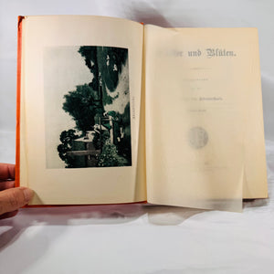 Blätter und Blüten German Book 1906 Louis Lange Publishing Co. Ornate Cover, Illustrated Poetry & Prose in Fraktur Script