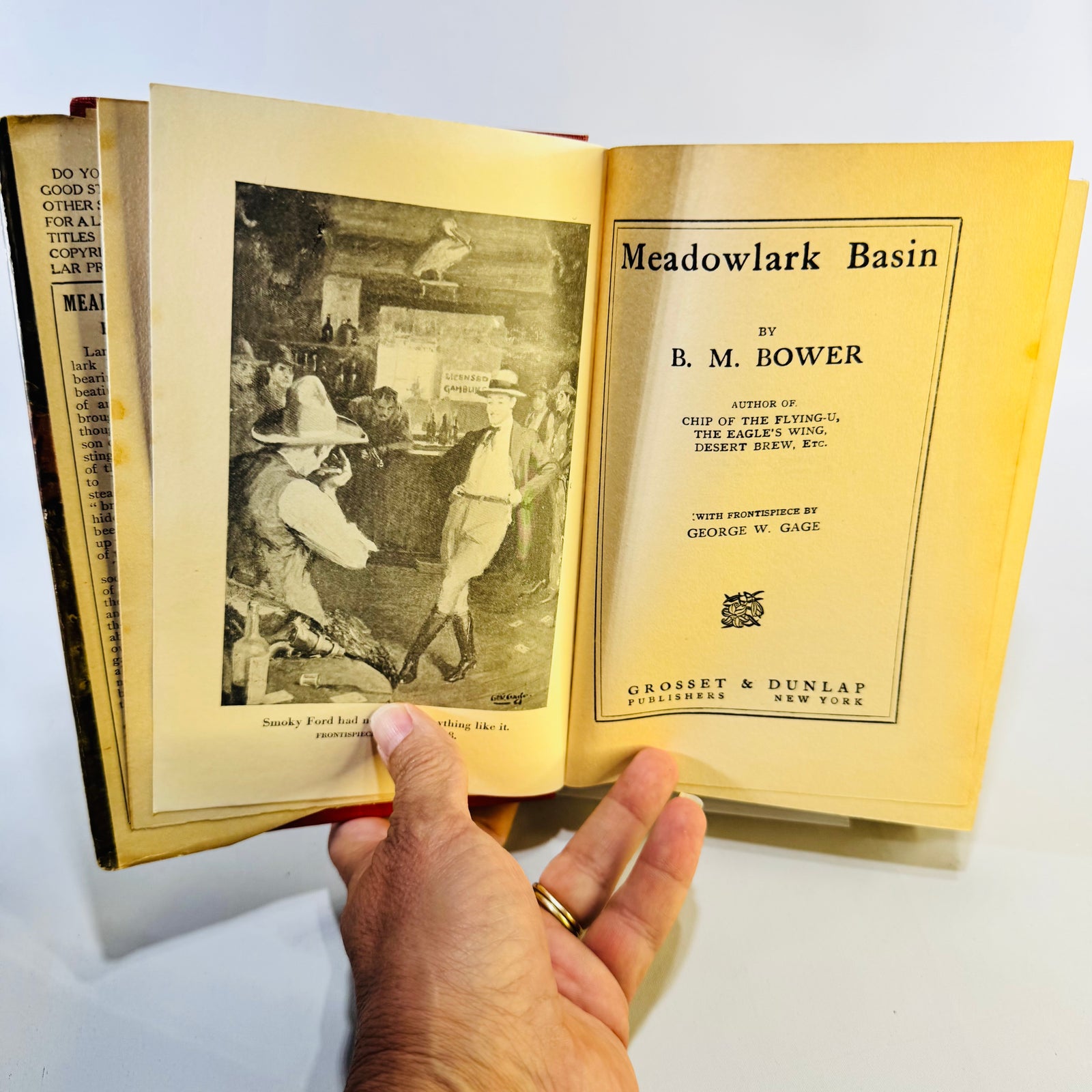 Meadowlark Basin by B. M. Bower 1925 Grosset & Dunlap Hardcover with Dust Jacket Vintage Western Novel