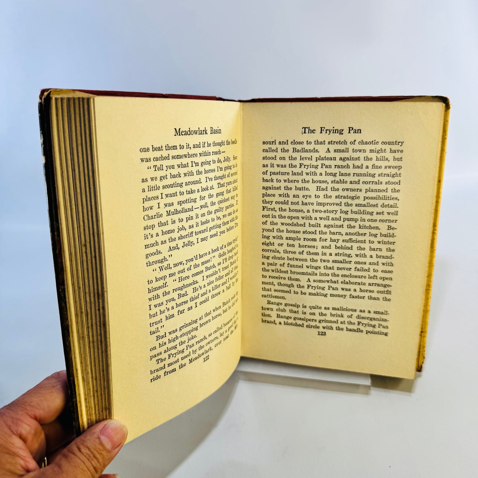 Meadowlark Basin by B. M. Bower 1925 Grosset & Dunlap Hardcover with Dust Jacket Vintage Western Novel
