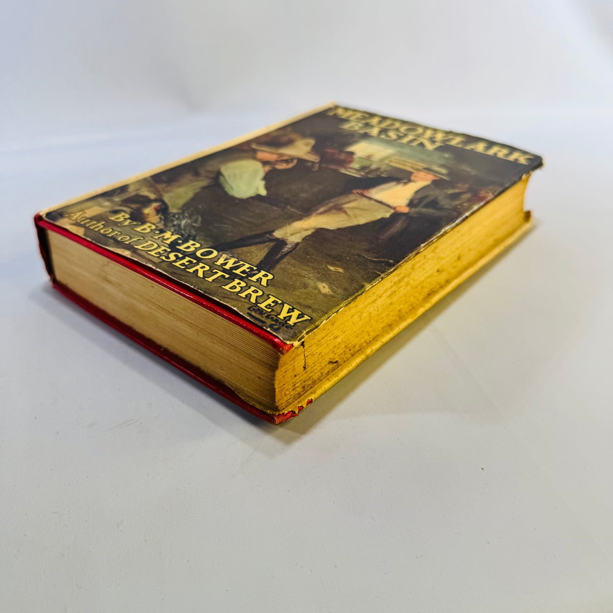 Meadowlark Basin by B. M. Bower 1925 Grosset & Dunlap Hardcover with Dust Jacket Vintage Western Novel
