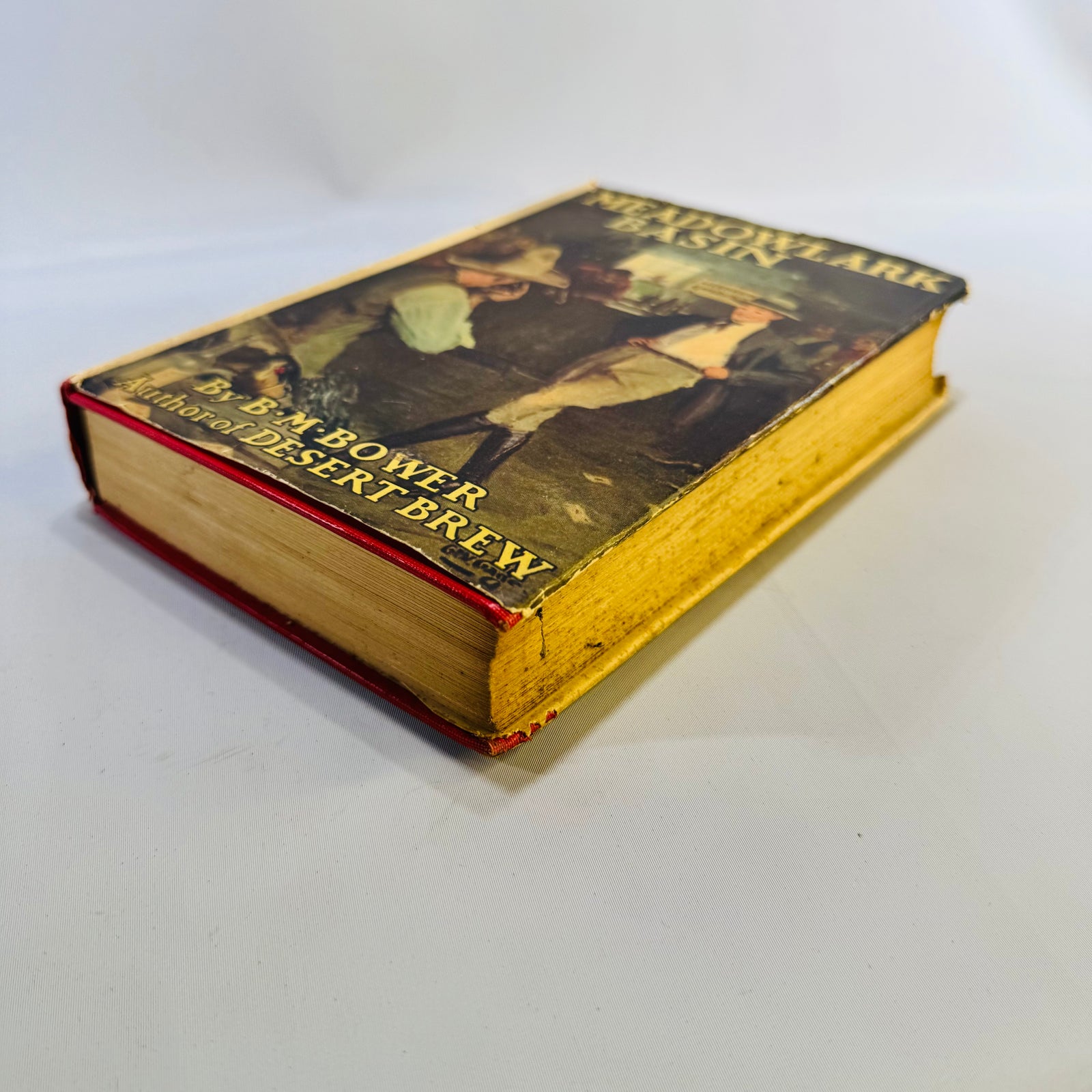 Meadowlark Basin by B. M. Bower 1925 Grosset & Dunlap Hardcover with Dust Jacket Vintage Western Novel