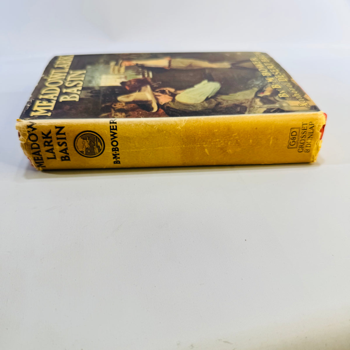 Meadowlark Basin by B. M. Bower 1925 Grosset & Dunlap Hardcover with Dust Jacket Vintage Western Novel