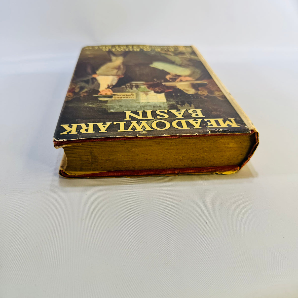 Meadowlark Basin by B. M. Bower 1925 Grosset & Dunlap Hardcover with Dust Jacket Vintage Western Novel