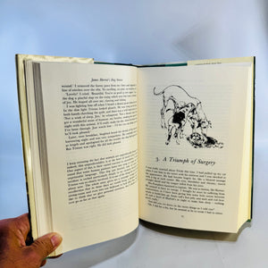 James Herriot's Dog Stories Hardcover with Dust Jacket 1992 Reader's Digest Illustrated Dog Memoirs