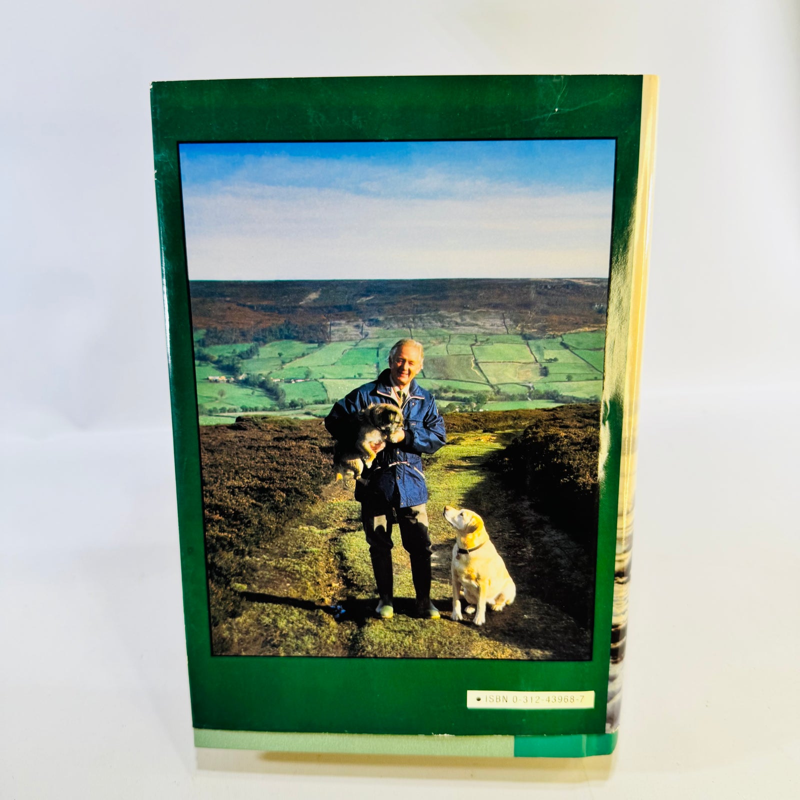 James Herriot's Dog Stories Hardcover with Dust Jacket 1992 Reader's Digest Illustrated Dog Memoirs