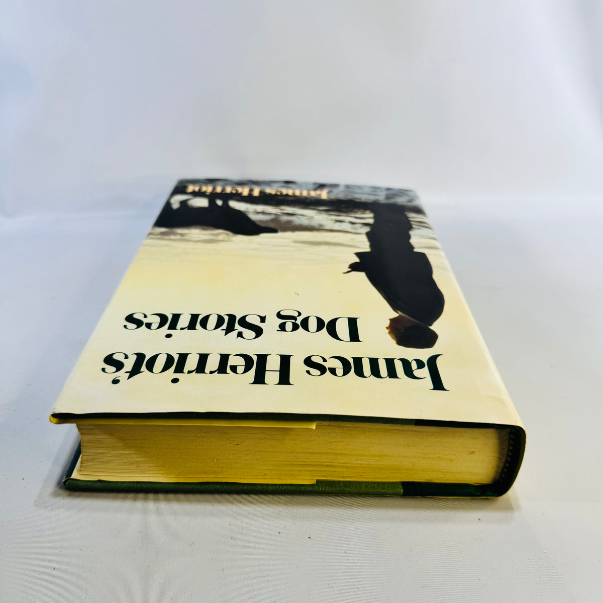 James Herriot's Dog Stories Hardcover with Dust Jacket 1992 Reader's Digest Illustrated Dog Memoirs