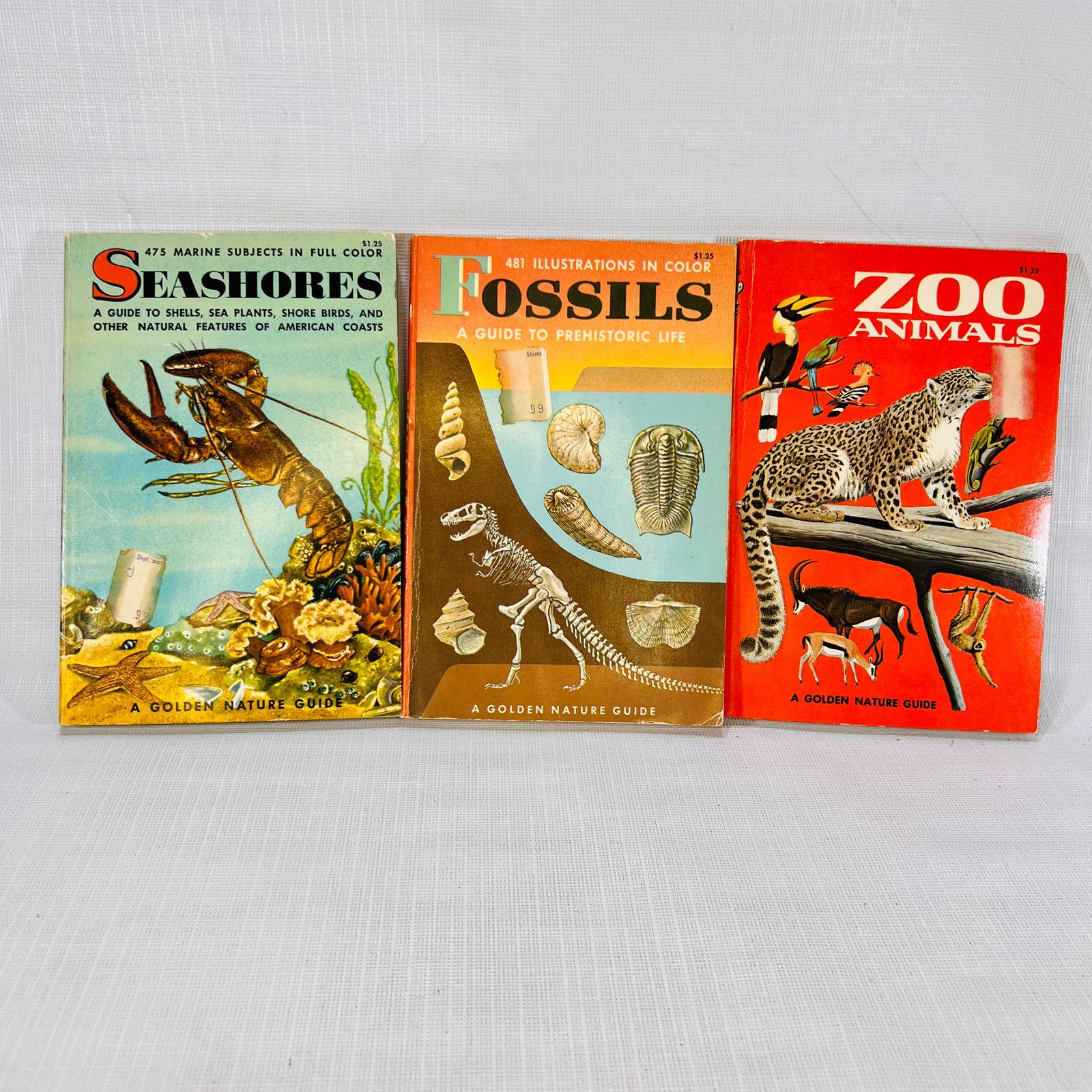 3 Golden Nature Guides Seashores (1955) Fossils (1962) & Zoo Animals (1967) Western Publishing Inc