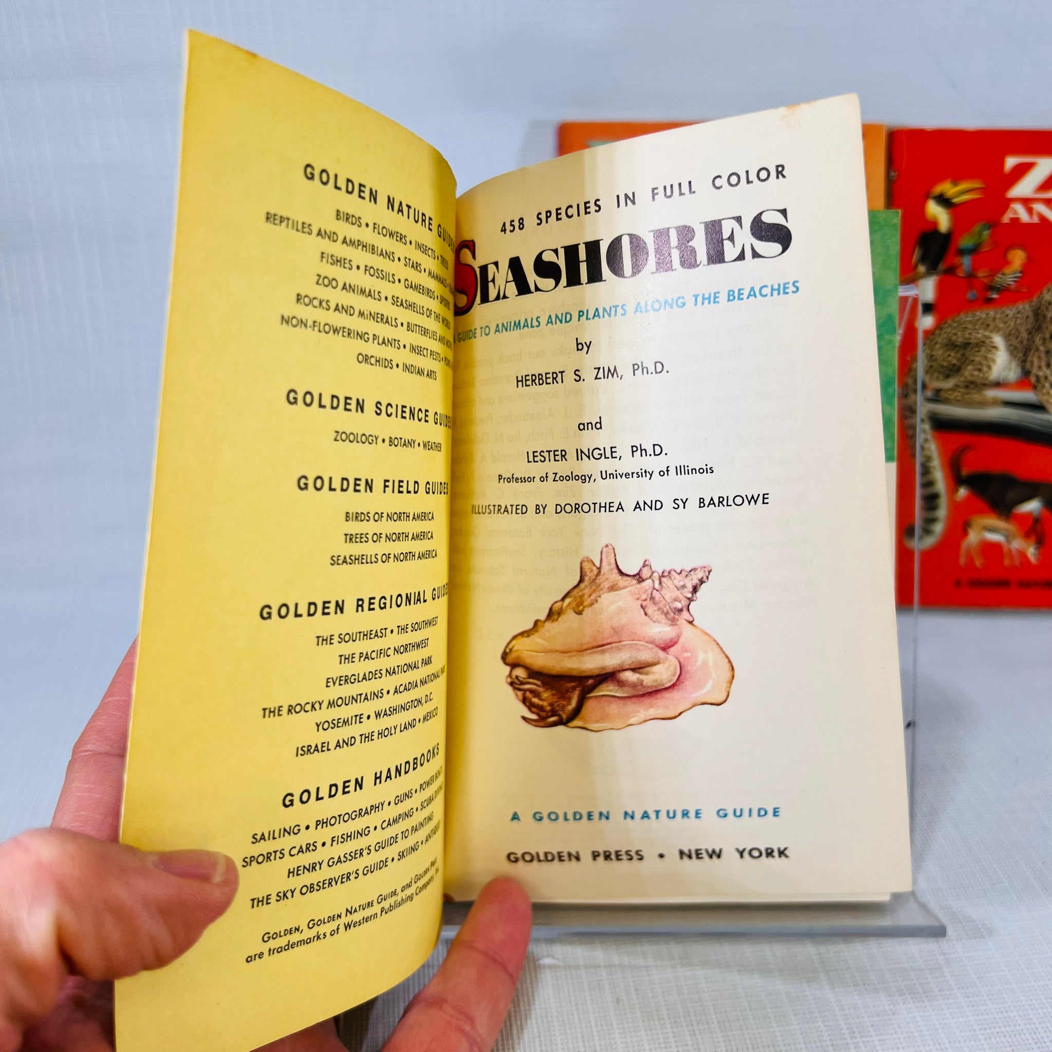 Old Nature Guide 3 Vintage Golden Nature Guides Seashores Fossils Zoo Animals Paperback ...