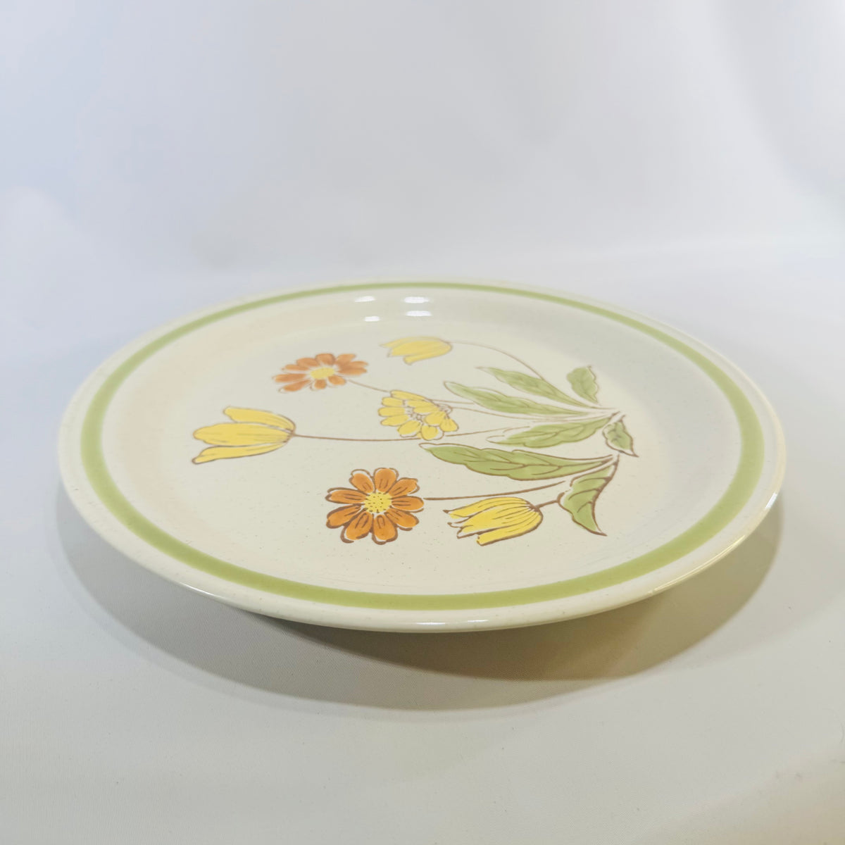 Vintage Country Casual Sunnyvale Japan Dinner Plate 10.5 Inch Hand Painted Stoneware Floral