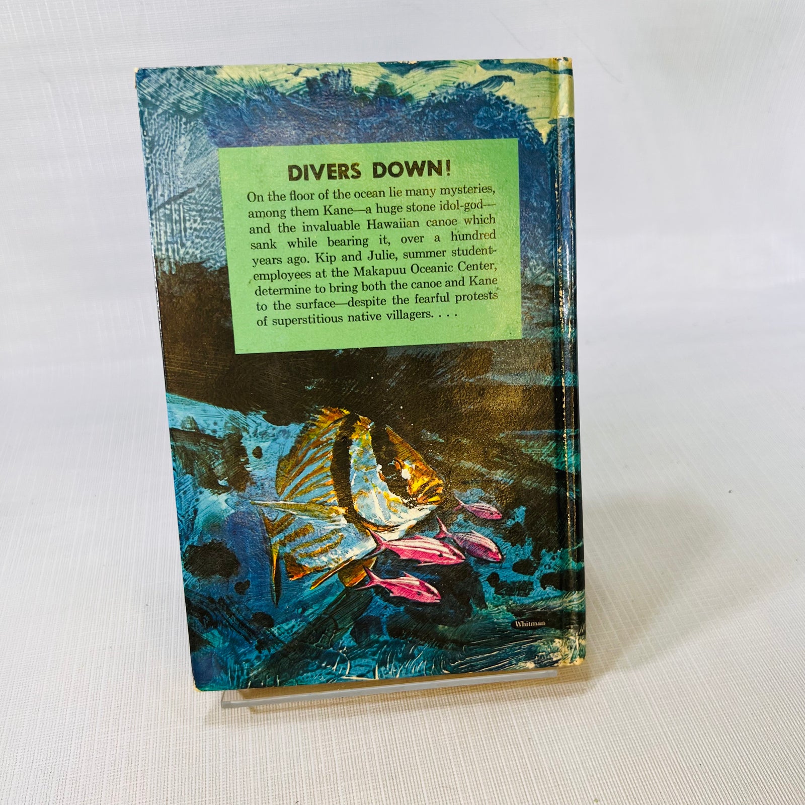 Back cover with the Divers Down! story summary and a tropical fish