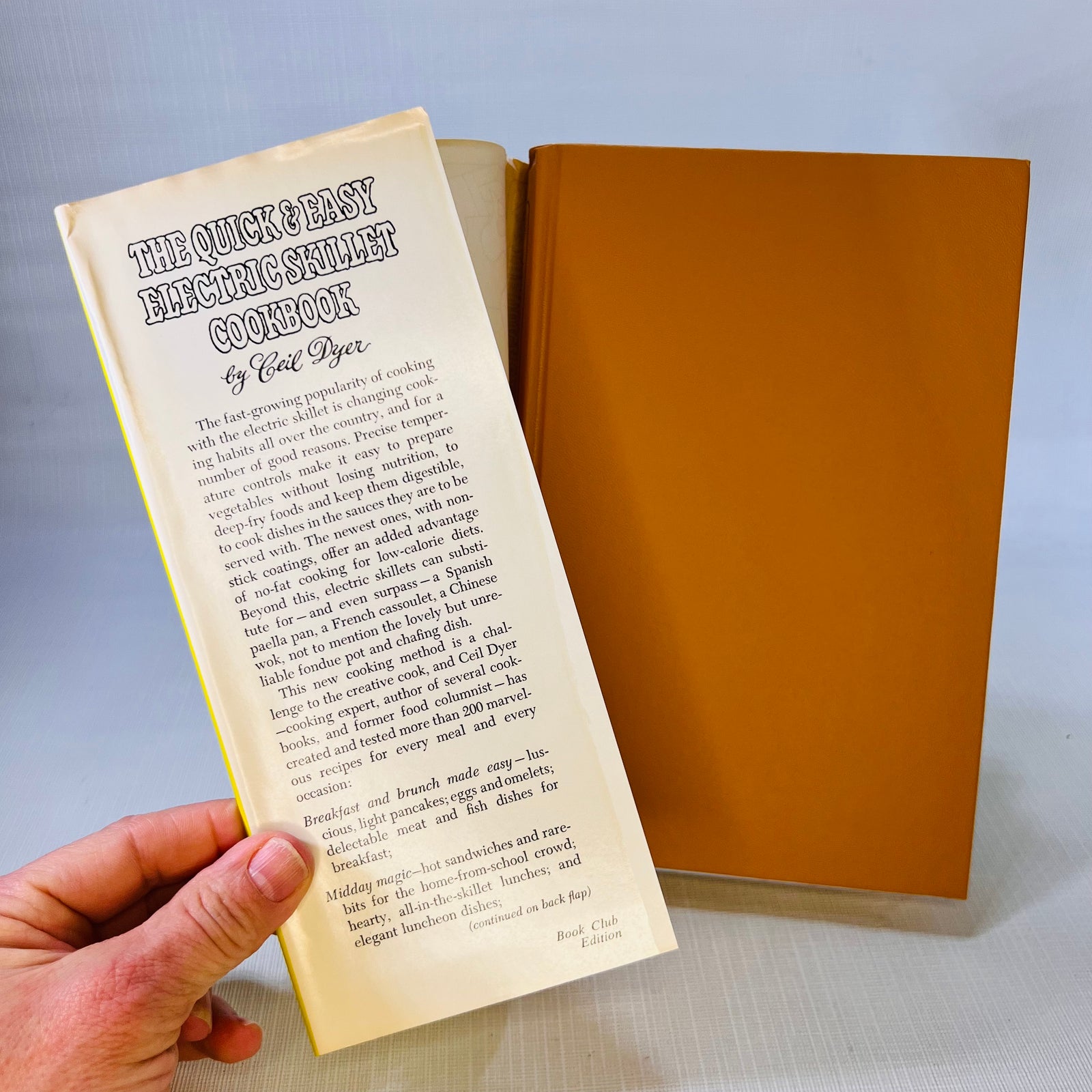 The Quick and Easy Electric Skillet Cookbook by Ceil Dyer 1969 Hawthorn Books Inc.