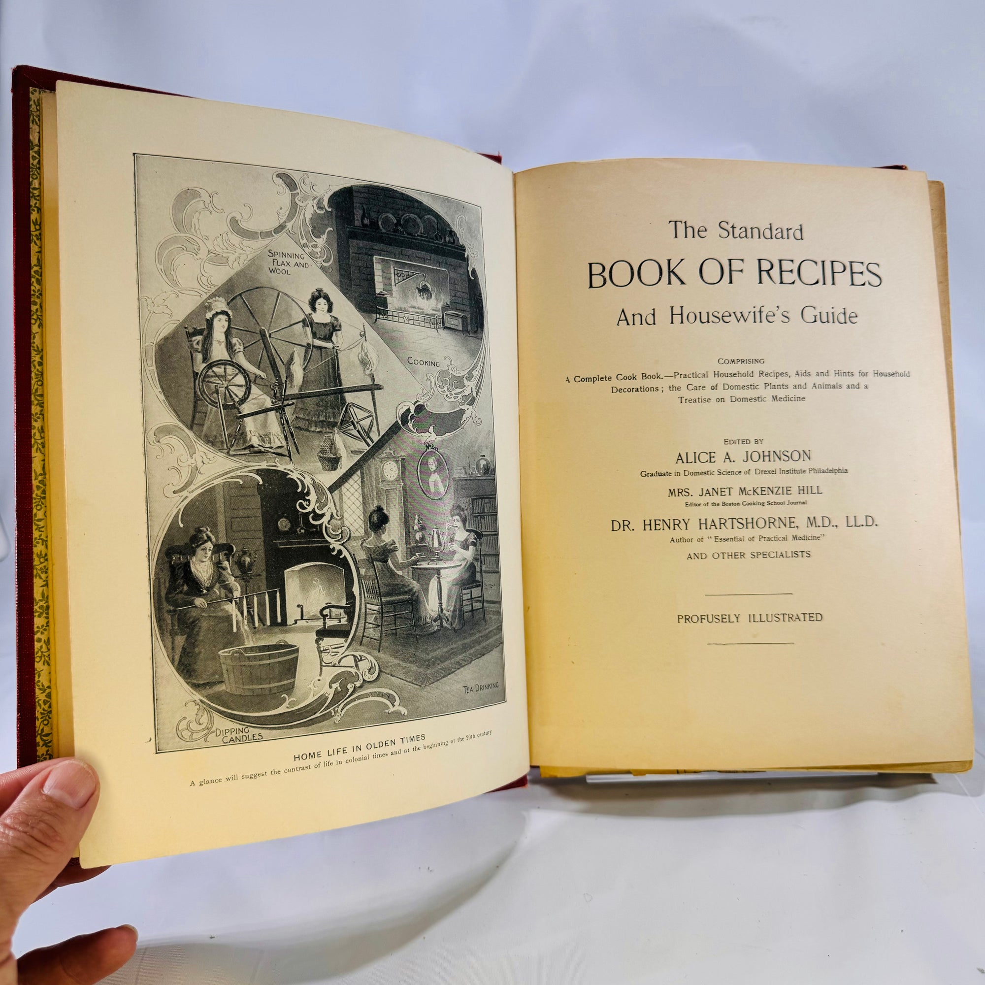 The Standard Book of Recipes and Housewife's Guide edited by Alice A. Johnson 1901 Profusely Illustrated