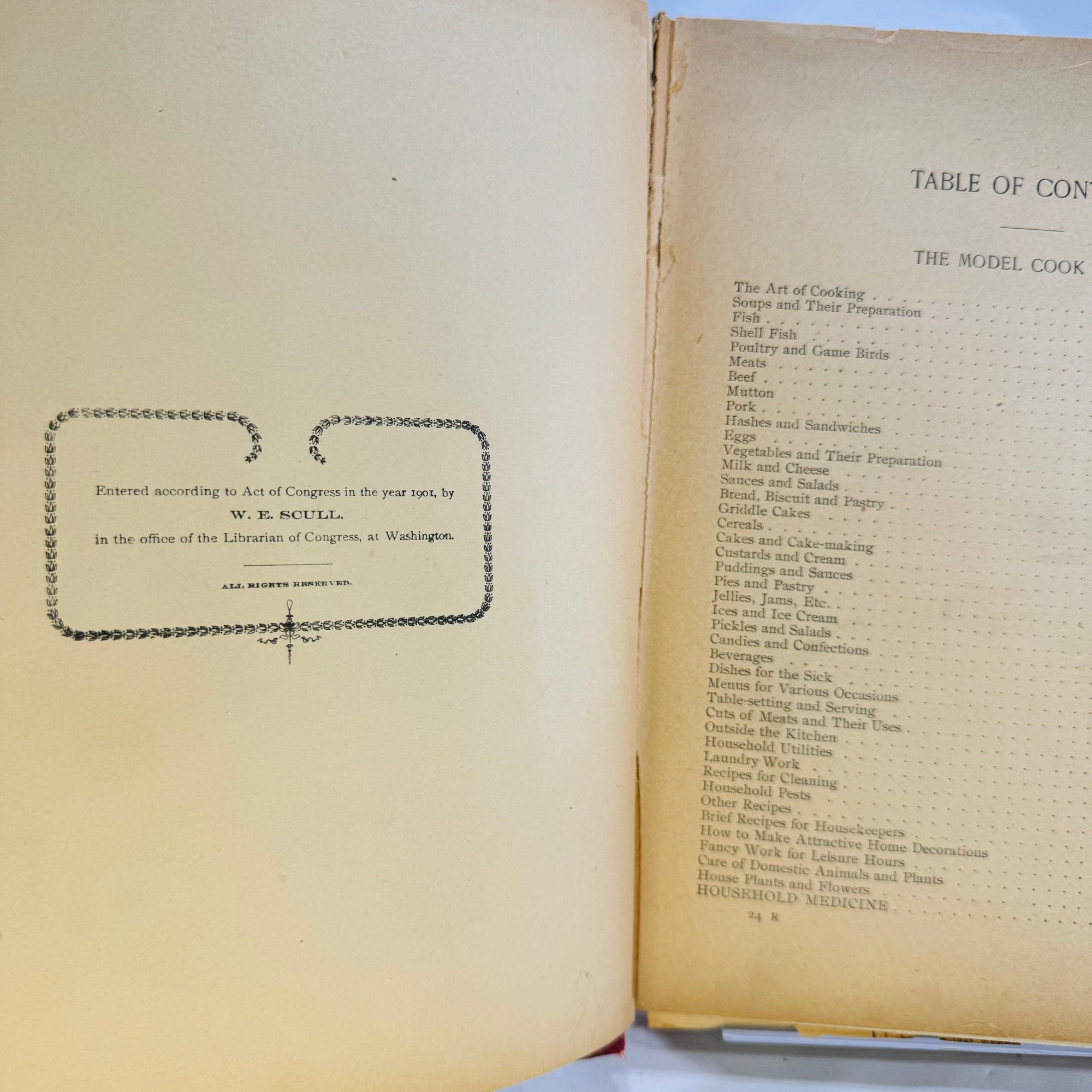 The Standard Book of Recipes and Housewife's Guide edited by Alice A. Johnson 1901 Profusely Illustrated