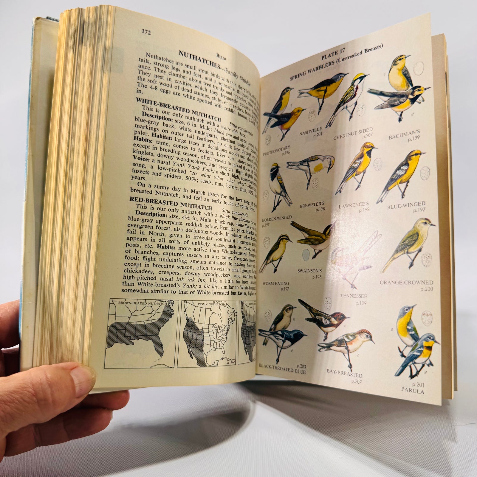 Complete Field Guide to American Wildlife by Henry Hill Collins Jr. (1959) | Vintage Nature Reference Book